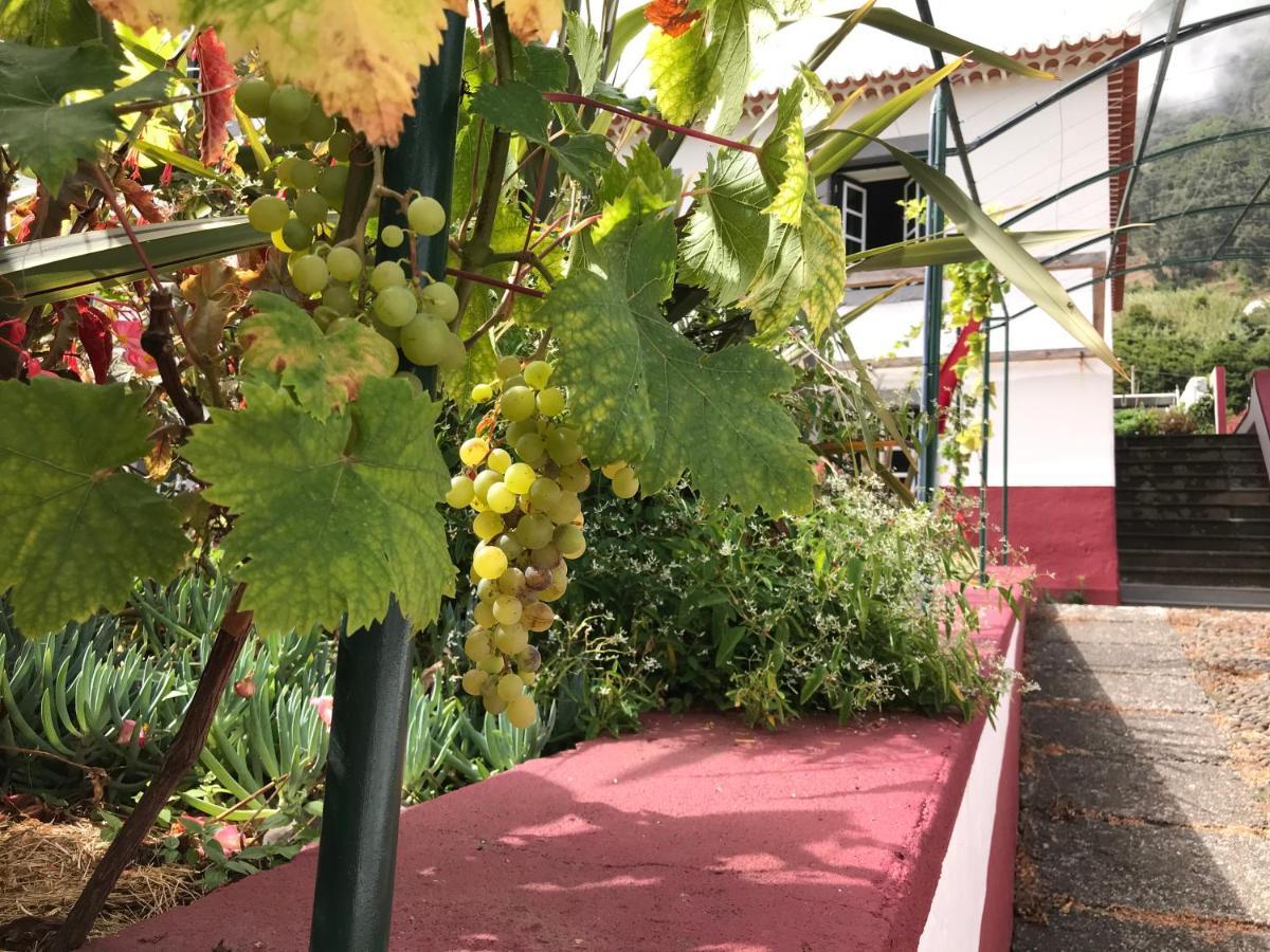 São Vicente Casa Oliveira Esmeraldo - Guest Houses מראה חיצוני תמונה