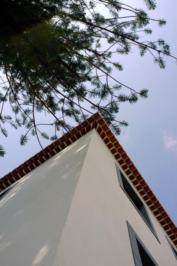 São Vicente Casa Oliveira Esmeraldo - Guest Houses מראה חיצוני תמונה